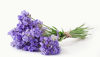 Homeopathy History